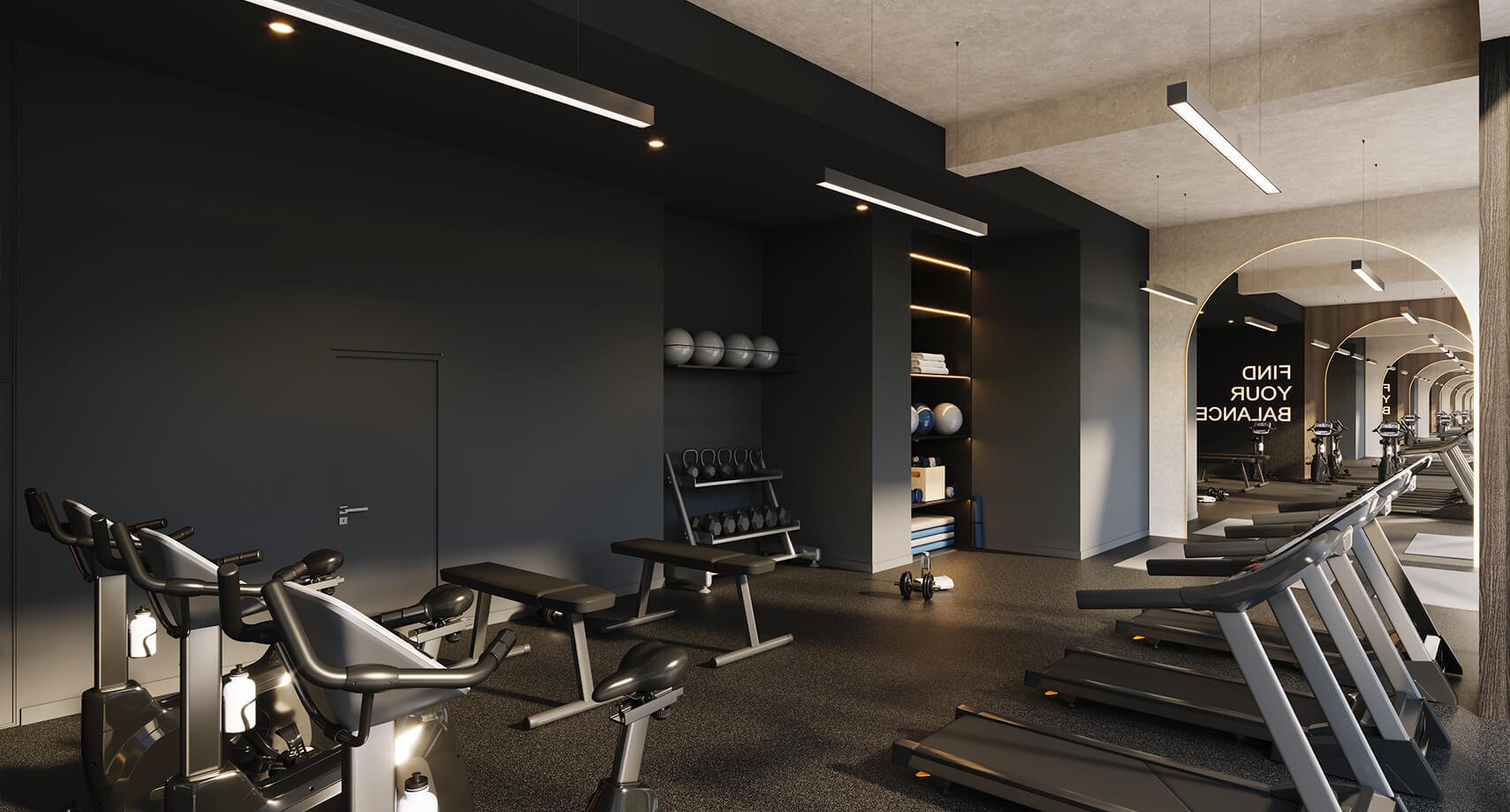 LAF3_AACC_GYM